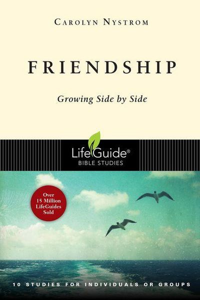 Produktbild: Friendship