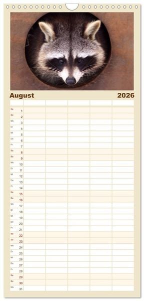 Produktbild: Familienplaner 2026 - Waschb&auml;ren mit 5 Spalten (Wandkalender, 21 x 45 cm) CALVENDO