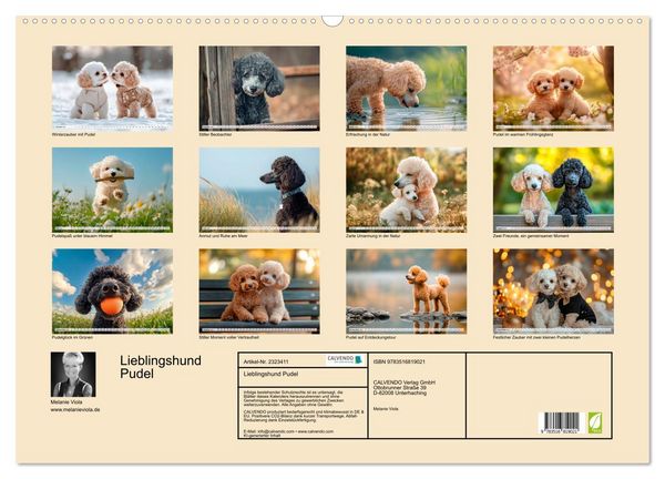 Produktbild: Lieblingshund Pudel (Wandkalender 2027 DIN A2 quer), CALVENDO Monatskalender
