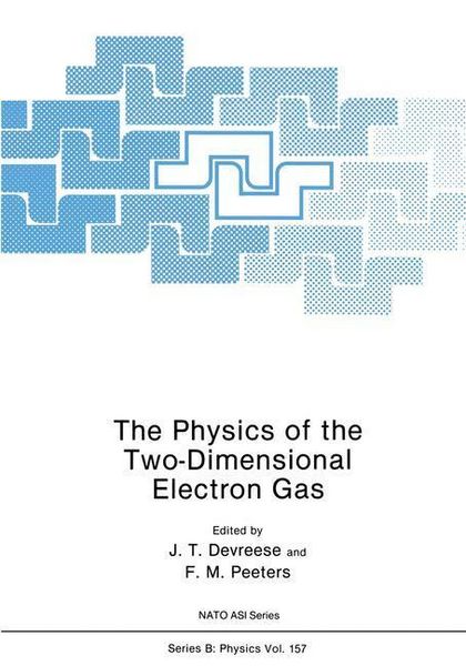 Produktbild: The Physics of the Two-Dimensional Electron Gas
