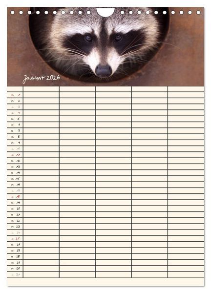 Produktbild: Waschb&auml;ren Familienplaner (Wandkalender 2026 DIN A4 hoch), CALVENDO Monatskalender