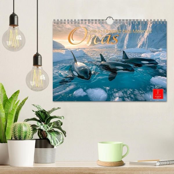 Produktbild: Orcas - Wilde Eleganz des Meeres (Wandkalender 2027 DIN A4 quer), CALVENDO Monatskalender