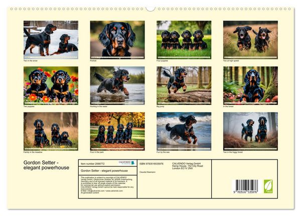 Produktbild: Gordon Setter - elegant powerhouse (High Quality Premium Wall Calendar 2026 DIN A2 landscape),CALVENDO 12 Month Wall Calendar