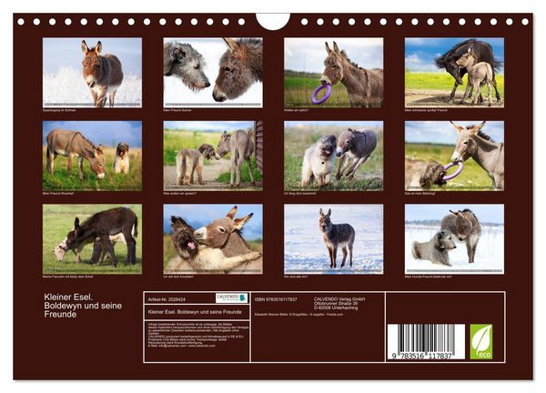 Produktbild: Kleiner Esel. Boldewyn und seine Freunde (Wandkalender 2026 DIN A4 quer), CALVENDO Monatskalender