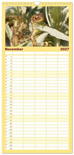 Produktbild: Familienplaner 2027 - Minisaurier im Garten mit 5 Spalten (Wandkalender, 21 x 45 cm) CALVENDO