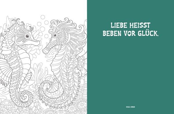 Produktbild: Colorful Mandala &ndash; Tierisch verliebt