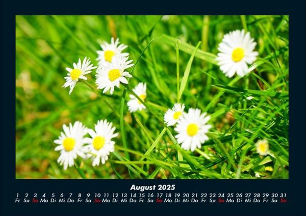Produktbild: Blumentr&auml;ume 2025 Fotokalender DIN A4