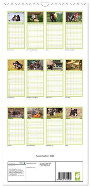 Produktbild: Familienplaner 2026 - Aussie Welpen 2026 mit 5 Spalten (Wandkalender, 21 x 45 cm) CALVENDO
