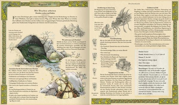 Produktbild: Expedition in die geheime Welt der Drachen