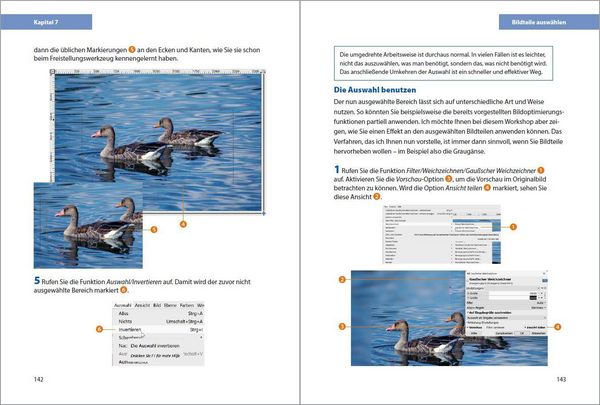 Produktbild: GIMP 3 - Einstieg und Praxis