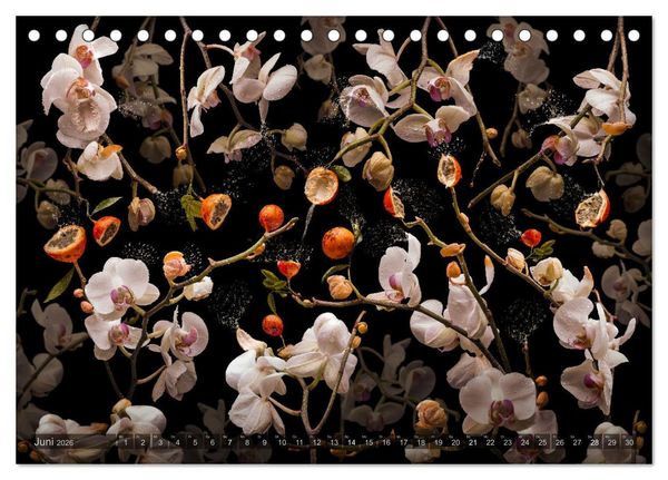 Produktbild: Orchidea (Tischkalender 2026 DIN A5 quer), CALVENDO Monatskalender