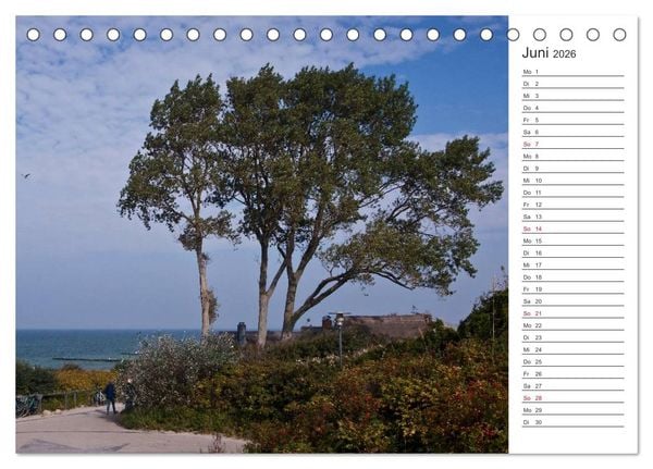 Produktbild: K&uuml;nstlerparadies Ahrenshoop (Tischkalender 2026 DIN A5 quer), CALVENDO Monatskalender
