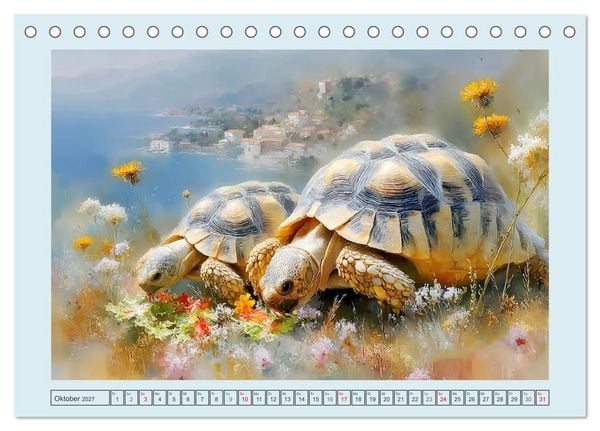 Produktbild: Schildkr&ouml;ten. Gut gepanzert und niemals in Eile (Tischkalender 2027 DIN A5 quer), CALVENDO Monatskalender
