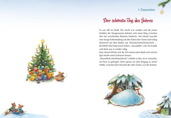 Produktbild: Igels schönstes Weihnachtsfest