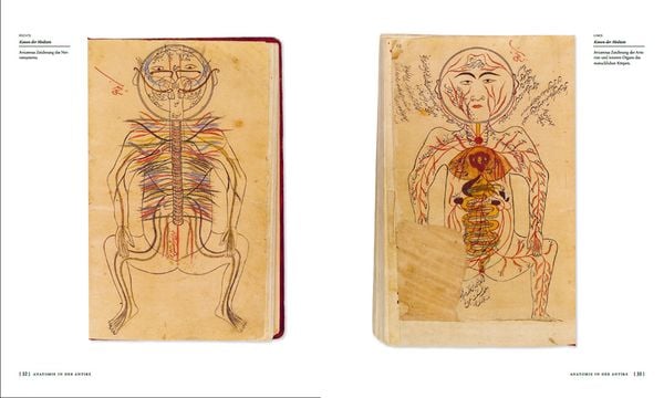 Produktbild: Die Geschichte der Anatomie