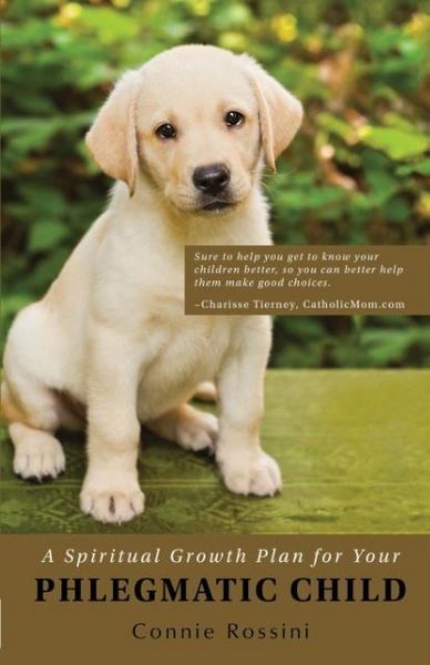 Produktbild: A Spiritual Growth Plan for Your Phlegmatic Child