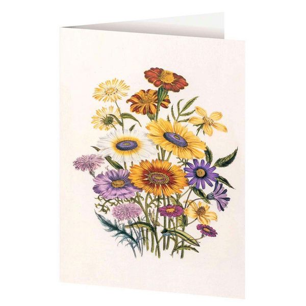 Produktbild: 4er-Set Doppelkarten &raquo;Blumengr&uuml;&szlig;e&laquo; mit Motiven von Jane C. Loudon