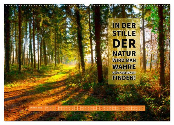 Produktbild: WALD Erholung pur (hochwertiger Premium Wandkalender 2026 DIN A2 quer), Kunstdruck in Hochglanz