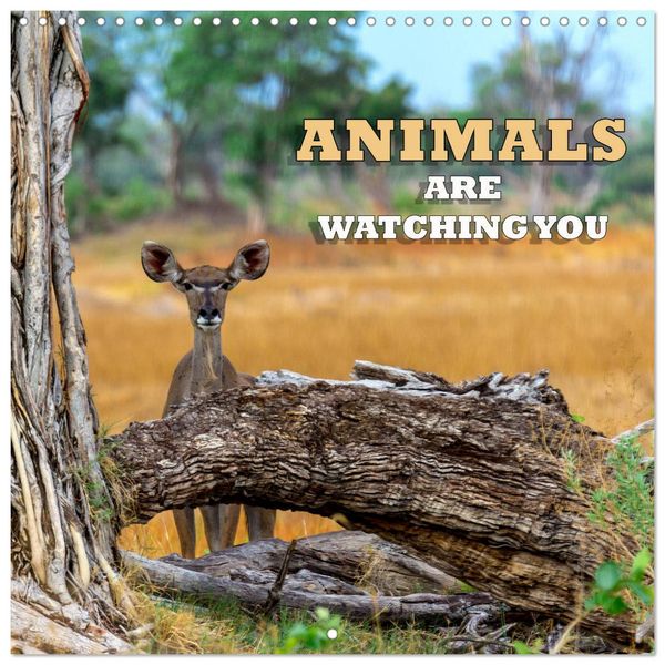 Animals are watching you (Wall Calendar 2026 12 × 12 Inch) CALVENDO 12 Month Wall Calendar