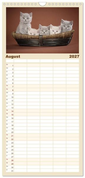 Produktbild: Familienplaner 2027 - Die Britisch Kurzhaar Katze mit 5 Spalten (Wandkalender, 21 x 45 cm) CALVENDO
