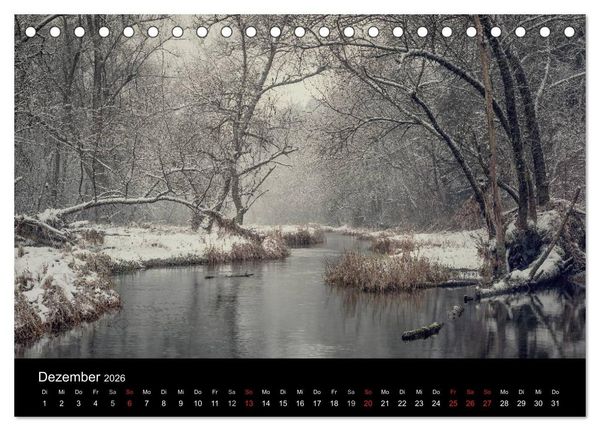 Produktbild: Mysterium Wald (Tischkalender 2026 DIN A5 quer), CALVENDO Monatskalender