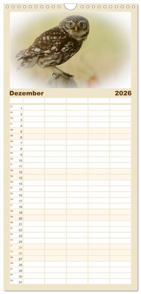 Produktbild: Familienplaner 2026 - Faszination Steinkauz mit 5 Spalten (Wandkalender, 21 x 45 cm) CALVENDO