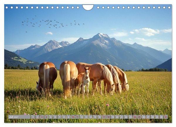 Produktbild: Alpent&auml;ler und Haflinger Pferde (Wandkalender 2027 DIN A4 quer), CALVENDO Monatskalender