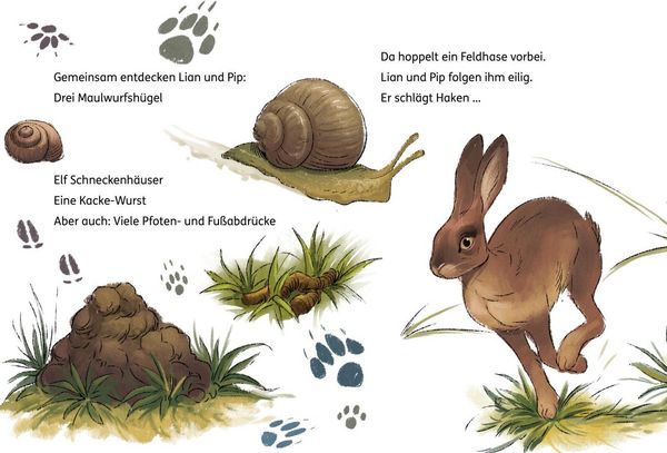 Produktbild: Lian, die Tierdetektivin 2: Wo ist Blob?