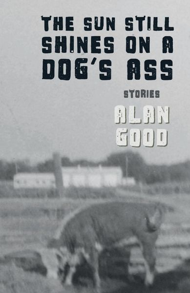 Produktbild: The Sun Still Shines on a Dog's Ass