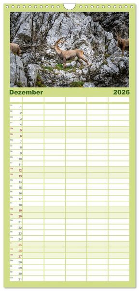 Produktbild: Familienplaner 2026 - Steinb&ouml;cke - Majest&auml;tische Tiere der Alpen mit 5 Spalten (Wandkalender, 21 x 45 cm) CALVENDO