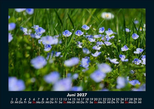 Produktbild: Blumentr&auml;ume 2027 Fotokalender DIN A5