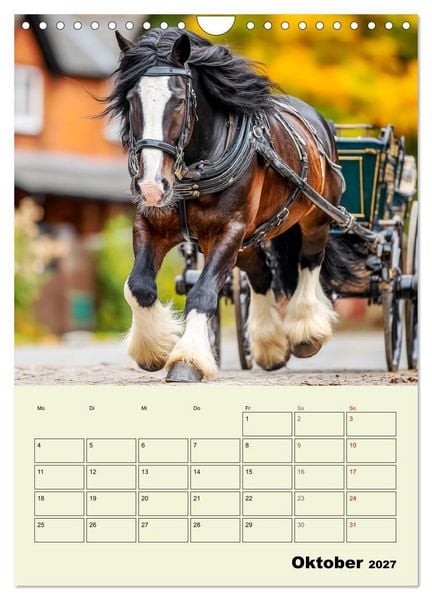 Produktbild: Shire Horse Magie. Englands sanfte Giganten (Wandkalender 2027 DIN A4 hoch), CALVENDO Monatskalender