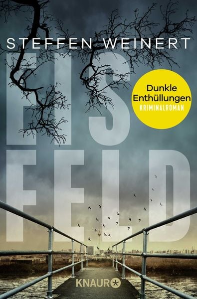 Produktbild: Eisfeld – Dunkle Enthüllungen