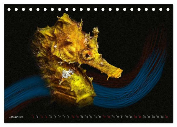 Produktbild: Artwork Unterwasser - Erlebnis Tauchen (Tischkalender 2026 DIN A5 quer), CALVENDO Monatskalender