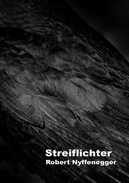 Produktbild: Streiflichter