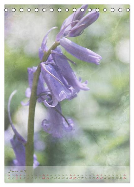 Produktbild: Vintage Flowers (Tischkalender 2026 DIN A5 hoch), CALVENDO Monatskalender