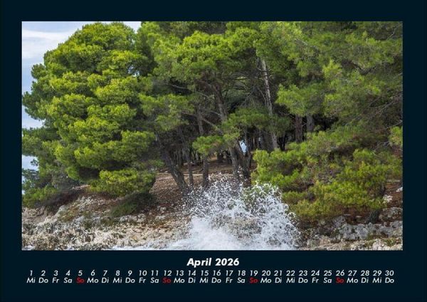 Produktbild: B&auml;ume 2026 Fotokalender DIN A4