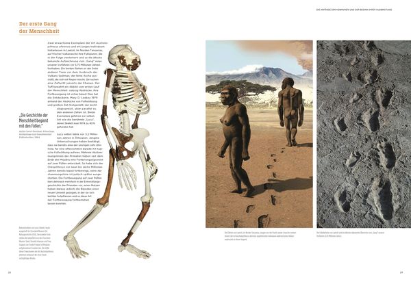 Produktbild: Homo Sapiens