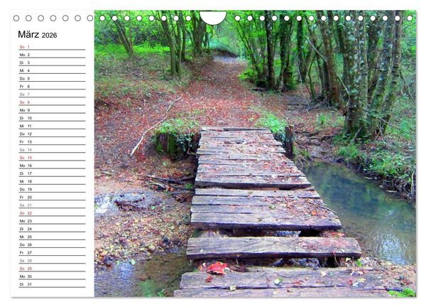 Produktbild: Franziskusweg - Camino di Assisi (Wandkalender 2026 DIN A4 quer), CALVENDO Monatskalender
