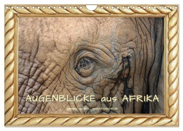 Produktbild: Augenblicke aus Afrika (Wandkalender 2026 DIN A4 quer), CALVENDO Monatskalender