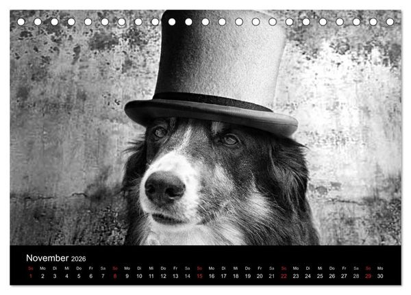 Produktbild: H&uuml;tehunde (Tischkalender 2026 DIN A5 quer), CALVENDO Monatskalender