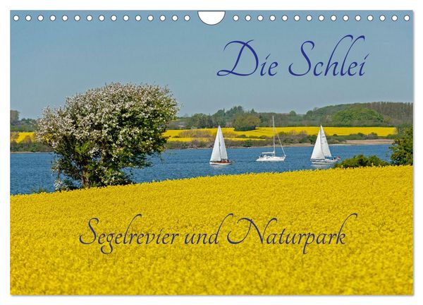Die Schlei - Segelrevier und Naturpark (Wandkalender 2026 DIN A4 quer), CALVENDO Monatskalender