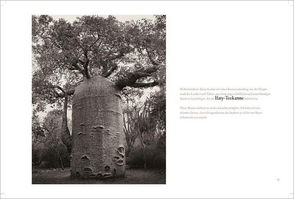 Produktbild: BAOBAB: Meine Reise zu den &auml;ltesten Lebewesen und Waldw&auml;chtern
