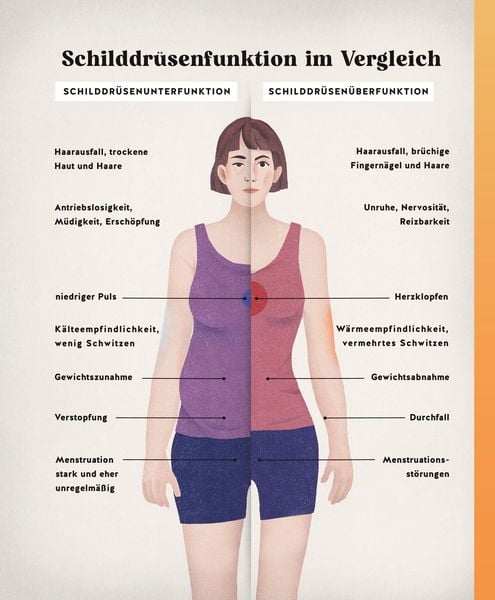 Produktbild: Meine Gesundheitsretter aus der Natur f&uuml;r eine starke Schilddr&uuml;se