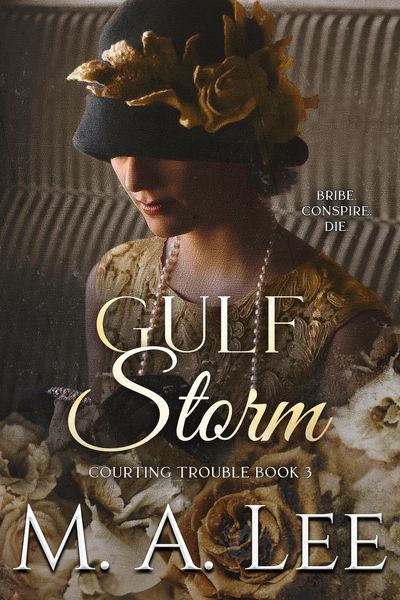 Produktbild: Gulf Storm - Courting Trouble 3 (Into Death, #11)