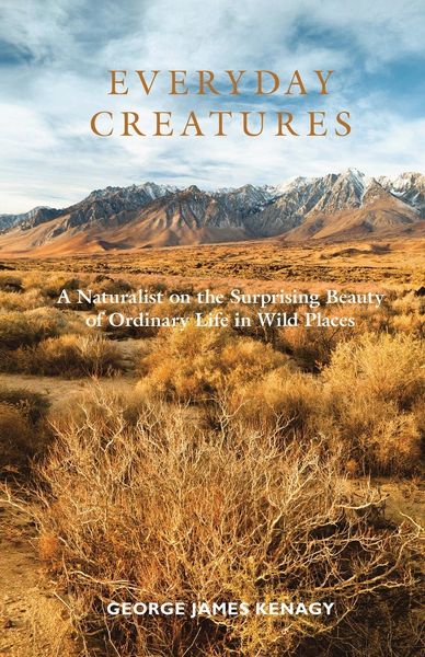 Produktbild: Everyday Creatures