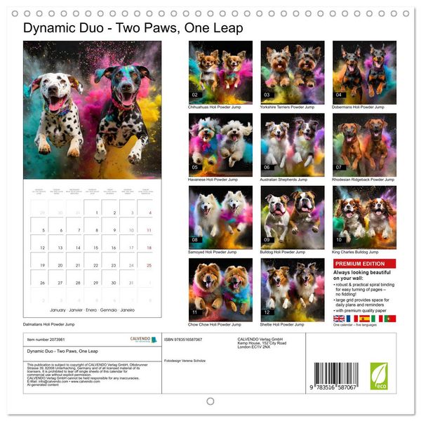 Produktbild: Dynamic Duo - Two Paws, One Leap (Wall Calendar 2026 12 &times; 12 Inch) CALVENDO 12 Month Wall Calendar