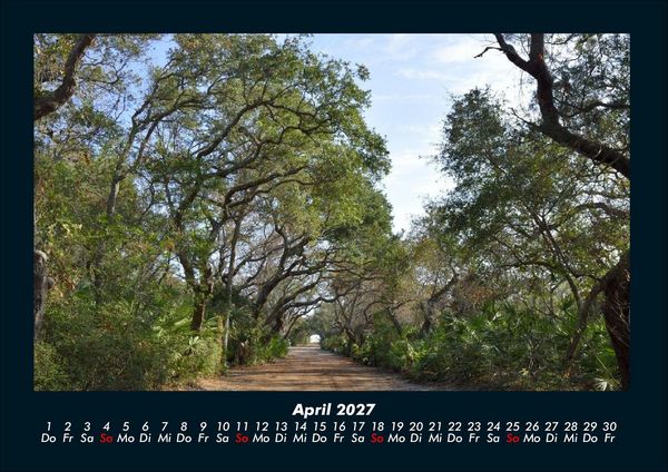 Produktbild: B&auml;ume 2027 Fotokalender DIN A4