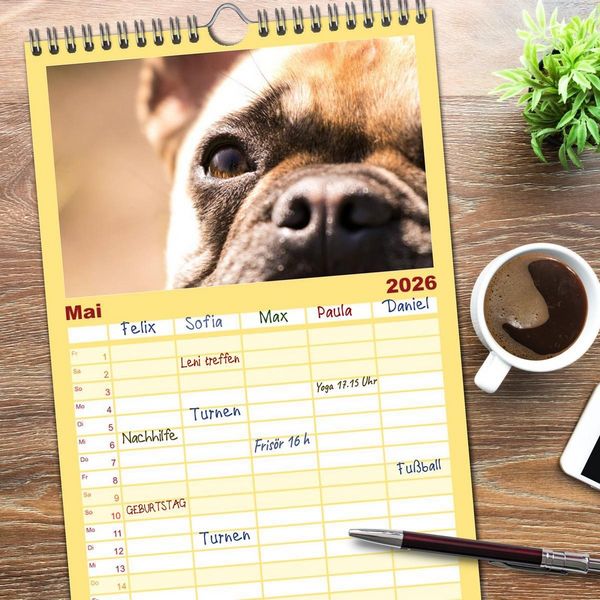 Produktbild: Familienplaner 2026 - Franz&ouml;sische Bulldoggen - Schutzengel auf 4 Pfoten mit 5 Spalten (Wandkalender, 21 x 45 cm) CALVENDO