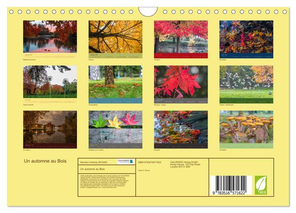 Produktbild: Un automne au Bois (Calendrier mural 2026 DIN A4 vertical), CALVENDO calendrier mensuel
